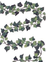 Mini Ivy Garland